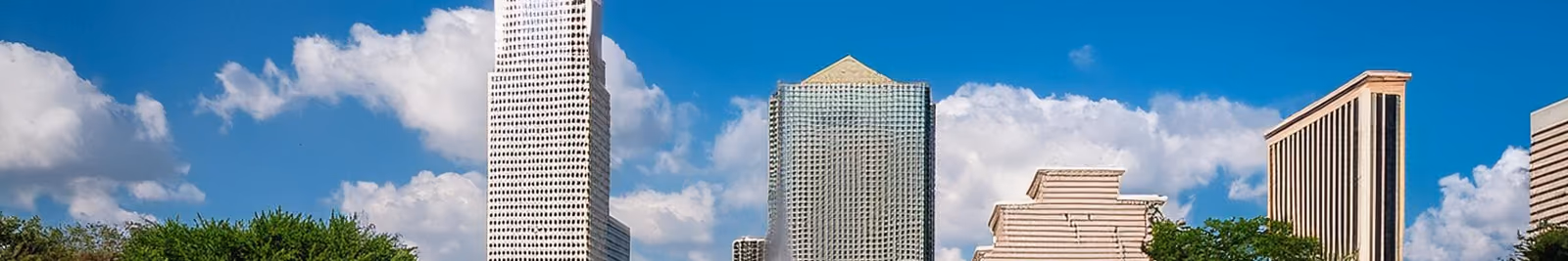 Page header banner