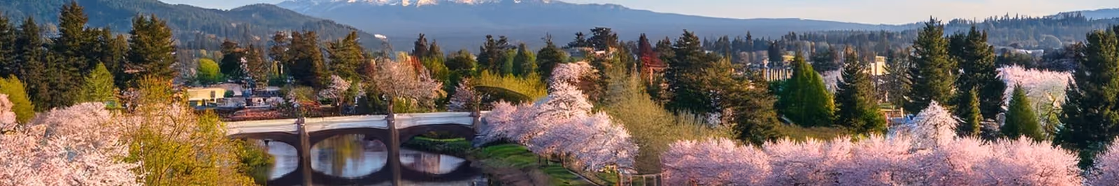 Page header banner