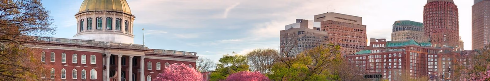 Page header banner