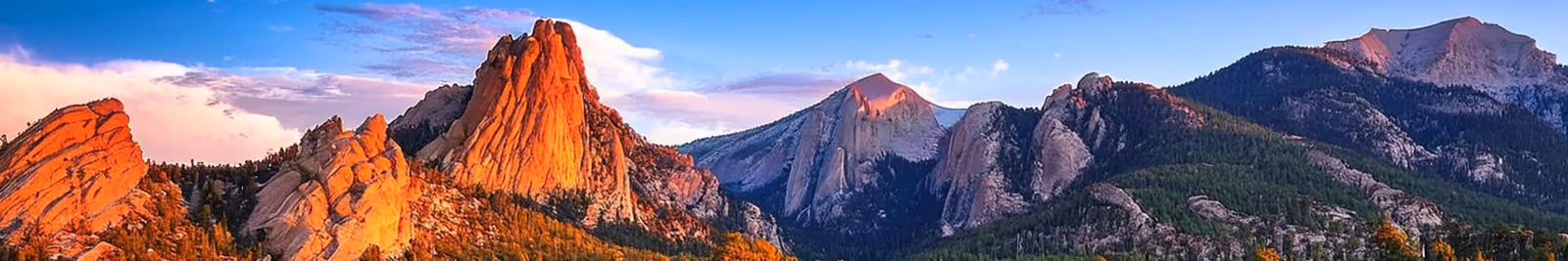 Page header banner