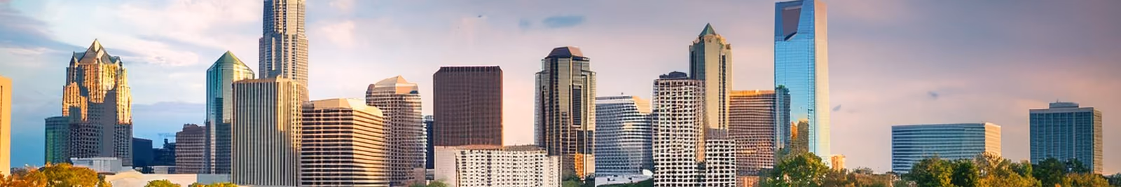 Page header banner