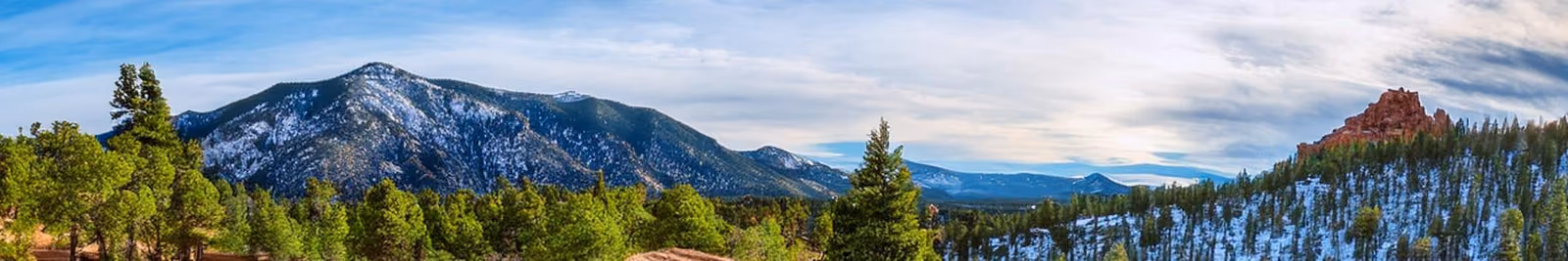 Page header banner