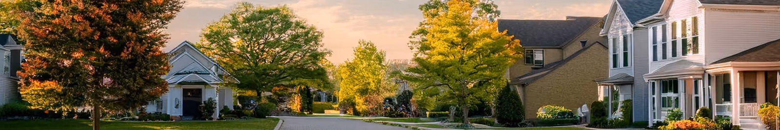 Page header banner