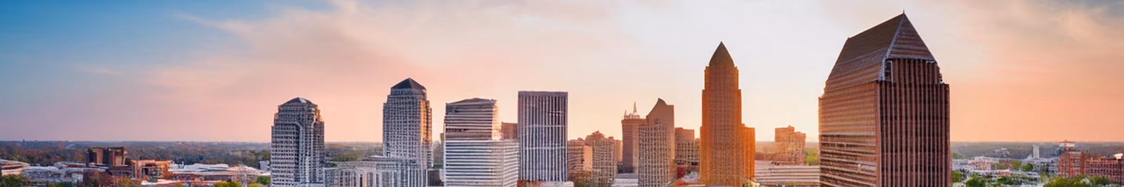 Page header banner