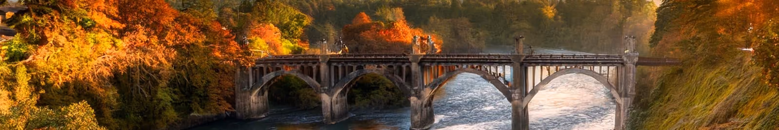 Page header banner