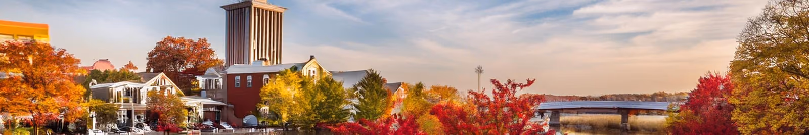 Page header banner