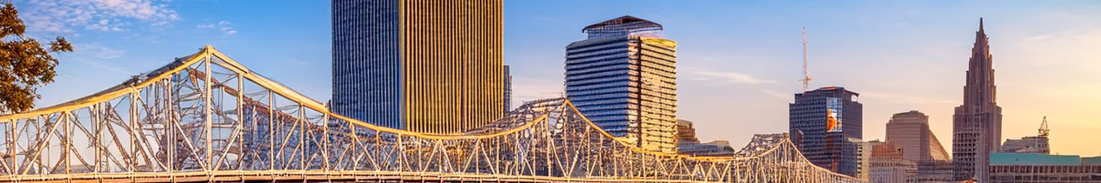 Page header banner