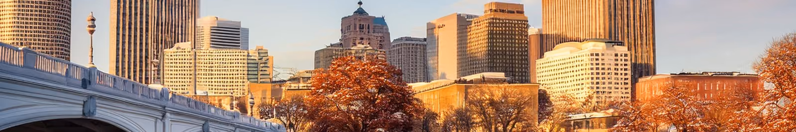 Page header banner