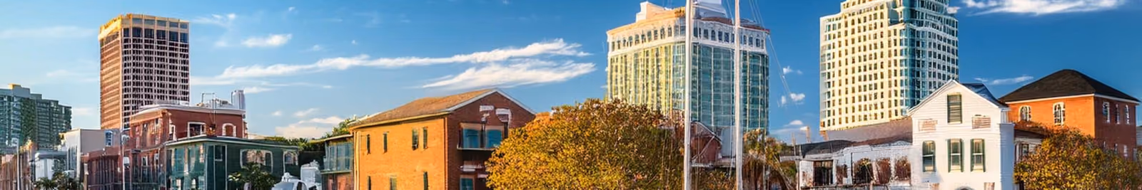 Page header banner