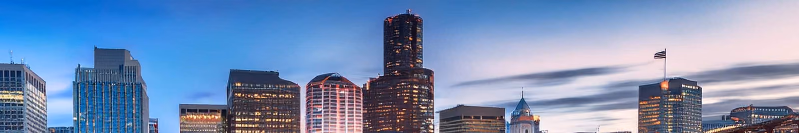 Page header banner