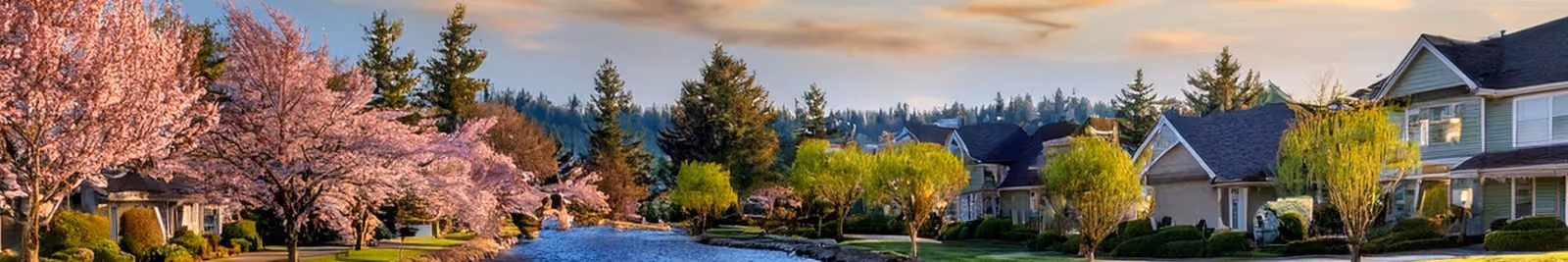 Page header banner