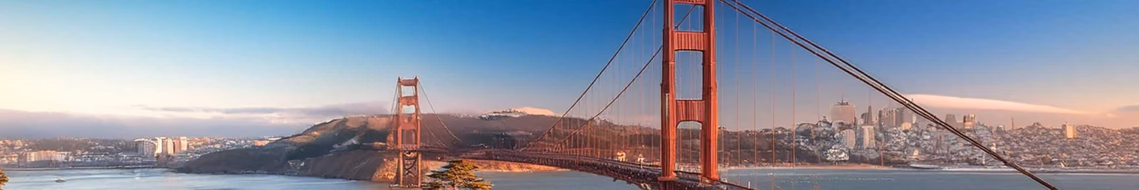 Page header banner