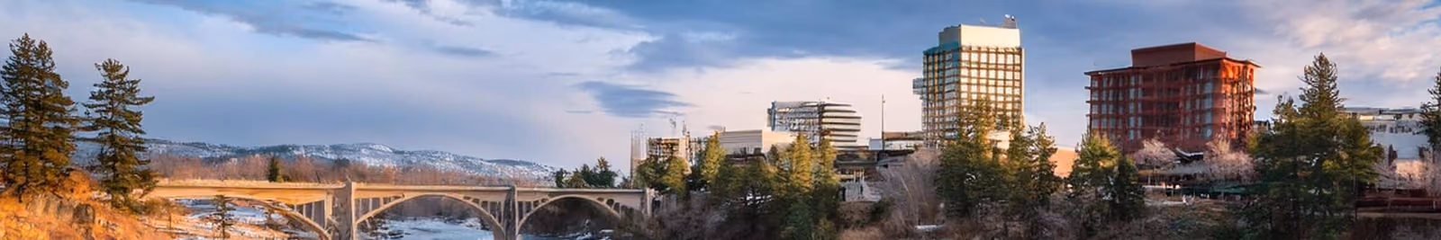 Page header banner