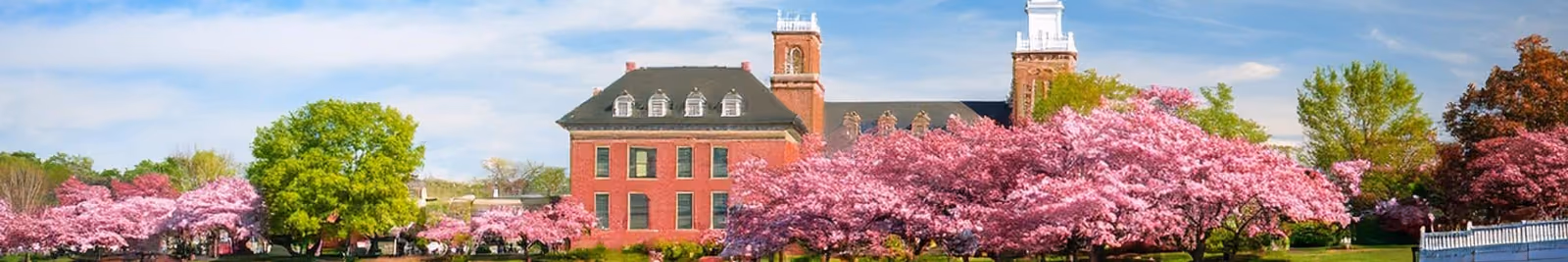 Page header banner