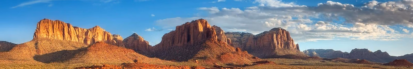 Page header banner